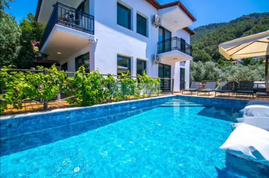 Villa Venom - Muğla, Fethiye, Faralya - Villa fotoğrafı 4