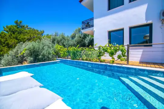Villa Venom - Muğla, Fethiye, Faralya - Villa fotoğrafı 3