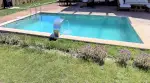 Villa Bohem 2 - Sakarya, Sapanca, Merkez - Fotoğraf 5