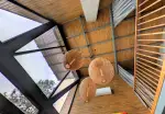 Villa Bohem 6 - Sakarya, Sapanca, Merkez - Fotoğraf 10