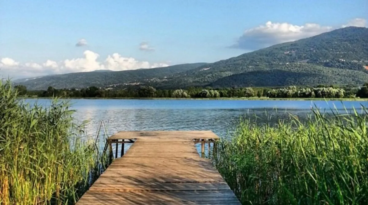 Sapanca Kiralık Bungalov: Doğanın Kalbinde Huzurlu Bir Kaçamak