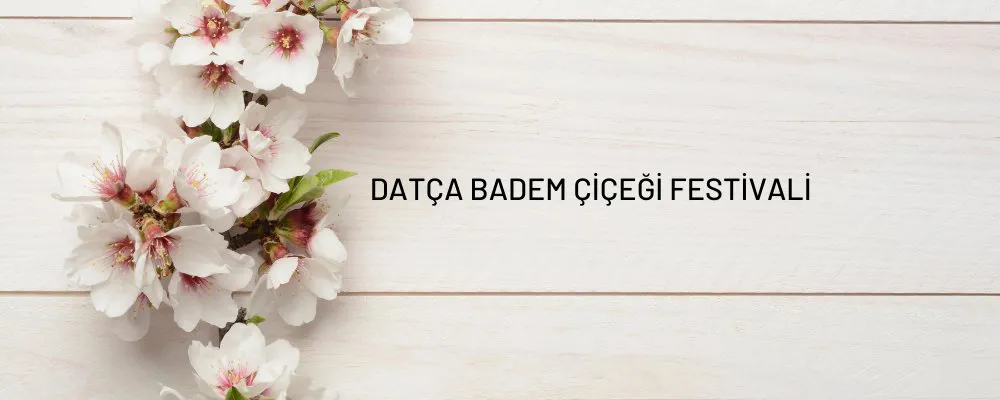 Datça Badem Çiçeği Festivali Rehberi