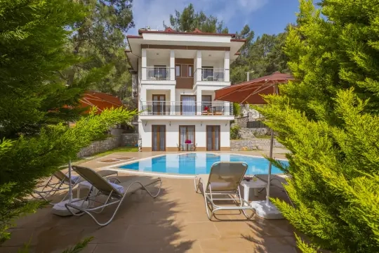 Villa Olympia Dream 2 - Muğla, Fethiye, Hisarönü - Villa fotoğrafı 3