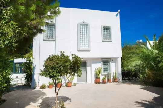 Villa Zenia - Muğla, Bodrum, Bitez - Villa fotoğrafı 2