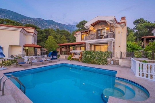 Villa Sereni - Muğla, Fethiye, Ovacık - Villa fotoğrafı 3
