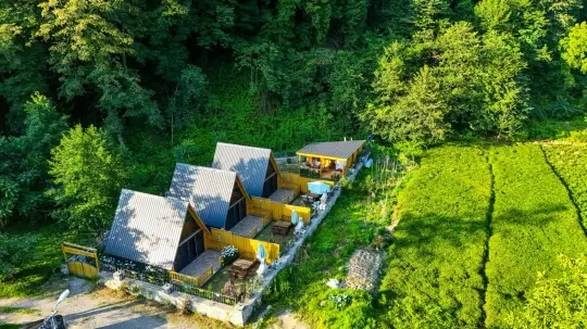 Bungalov 2001 - Rize, Çamlıhemşin, Ayder - Villa fotoğrafı 2