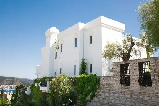 Villa Arvo - Muğla, Bodrum, Eskiçeşme - Villa fotoğrafı 3