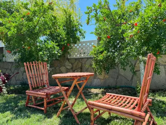 Villa Şevin - Muğla, Ortaca, Dalyan - Villa fotoğrafı 4