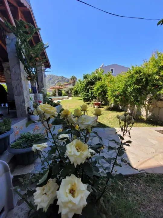 Villa Şevin - Muğla, Ortaca, Dalyan - Villa fotoğrafı 3