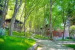 Bungalov 2038 - Ordu, Fatsa, Merkez - Fotoğraf 14