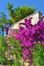 Villa Kullu - Antalya, Kaş, Kalkan / Merkez - Fotoğraf 13