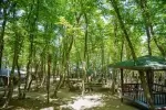 Bungalov 2040 - Ordu, Fatsa, Merkez - Fotoğraf 15