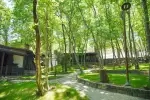 Bungalov 2040 - Ordu, Fatsa, Merkez - Fotoğraf 12
