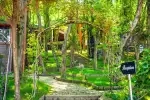 Bungalov 2040 - Ordu, Fatsa, Merkez - Fotoğraf 11