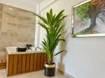 Villa Star - Muğla, Fethiye, Ölüdeniz - Fotoğraf 13