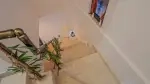 Villa Celeste 1 - Antalya, Kaş, Çukurbağ - Fotoğraf 37