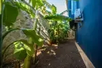Villa Ever - Antalya, Kaş, Kalkan / Kördere - Fotoğraf 28