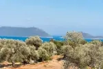 Villa Kutlu - Antalya, Kaş, Sısla - Fotoğraf 46