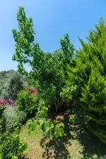 Villa Nar 9 - Antalya, Kaş, kalkan / İslamlar - Fotoğraf 16