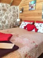 Villa Walnuts - Antalya, Kaş, Kalkan / Sarıbelen - Fotoğraf 21