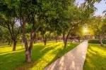 Bungalov 1048 - Antalya, Alanya, Merkez - Fotoğraf 7