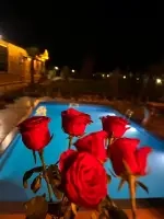 Villa Taş Aria - Denizli, Pamukkale, Cankurtaran - Fotoğraf 23