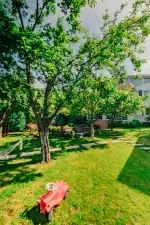 Villa Telamon - Sakarya, Sapanca, Merkez - Fotoğraf 14