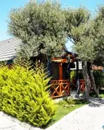 Bungalov 1042 - Antalya, Kaş, Merkez - Fotoğraf 3
