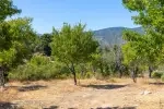 Villa Desiderio - Antalya, Kaş, Kalkan / Sarıbelen - Fotoğraf 39