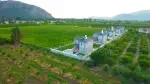 Villa Portofina 1 - Muğla, Ortaca, Dalyan - Fotoğraf 4