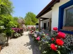 Villa Aleo Vera 1 - Muğla, Fethiye, Kayaköy - Fotoğraf 6