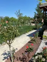Villa Taş Aria - Denizli, Pamukkale, Cankurtaran - Fotoğraf 10