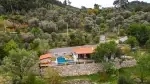 Villa Live - Muğla, Fethiye, Göcek / İnlice - Fotoğraf 10