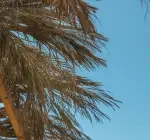Villa Luvina - Antalya, Kaş, Kalkan/ Akbel - Fotoğraf 46