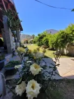 Villa Şevin - Muğla, Ortaca, Dalyan - Fotoğraf 3