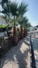 Villa Skypark - Muğla, Fethiye, Ölüdeniz - Fotoğraf 16