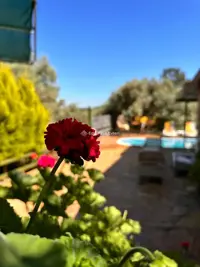 Villa Taş Ev Akyaka - Muğla, Ula, Akyaka / Kuyucak - Fotoğraf 38