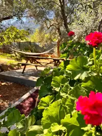 Villa Taş Ev Akyaka - Muğla, Ula, Akyaka / Kuyucak - Fotoğraf 36