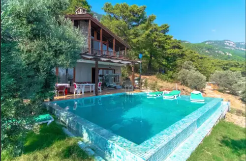 Villa Olive Akyaka